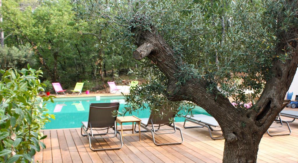 Sous Les Oliviers - Piscine Chauffee - Studios De Standing Tout-Equipes Saint-Maximin-la-Sainte-Baume Room photo