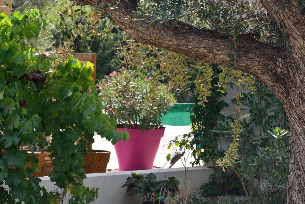 Sous Les Oliviers - Piscine Chauffee - Studios De Standing Tout-Equipes Saint-Maximin-la-Sainte-Baume Exterior photo